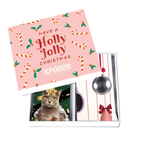 Xpooos Holiday Cat Socks Gift Box
